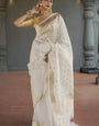 Alluring Off White Linen Silk Saree With Precious Blouse Piece