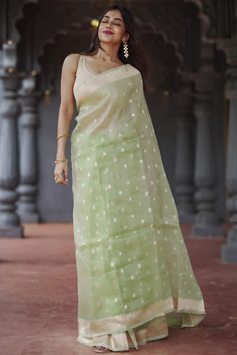 Outstanding Pista Linen Silk Saree With Delightful Blouse Piece