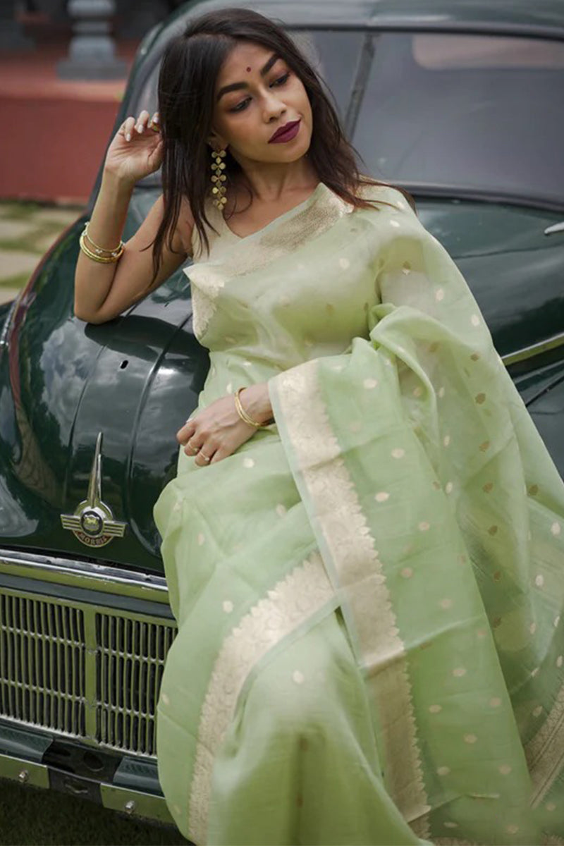 Outstanding Pista Linen Silk Saree With Delightful Blouse Piece