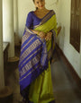 Elision Mehandi Soft Silk Saree With Staggering Blouse Piece