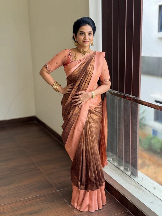 Glorious Brown Soft Silk Saree With Beauteous Blouse Piece