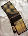 Intricate Black Soft Banarasi Silk Saree With Splendiferous Blouse Piece