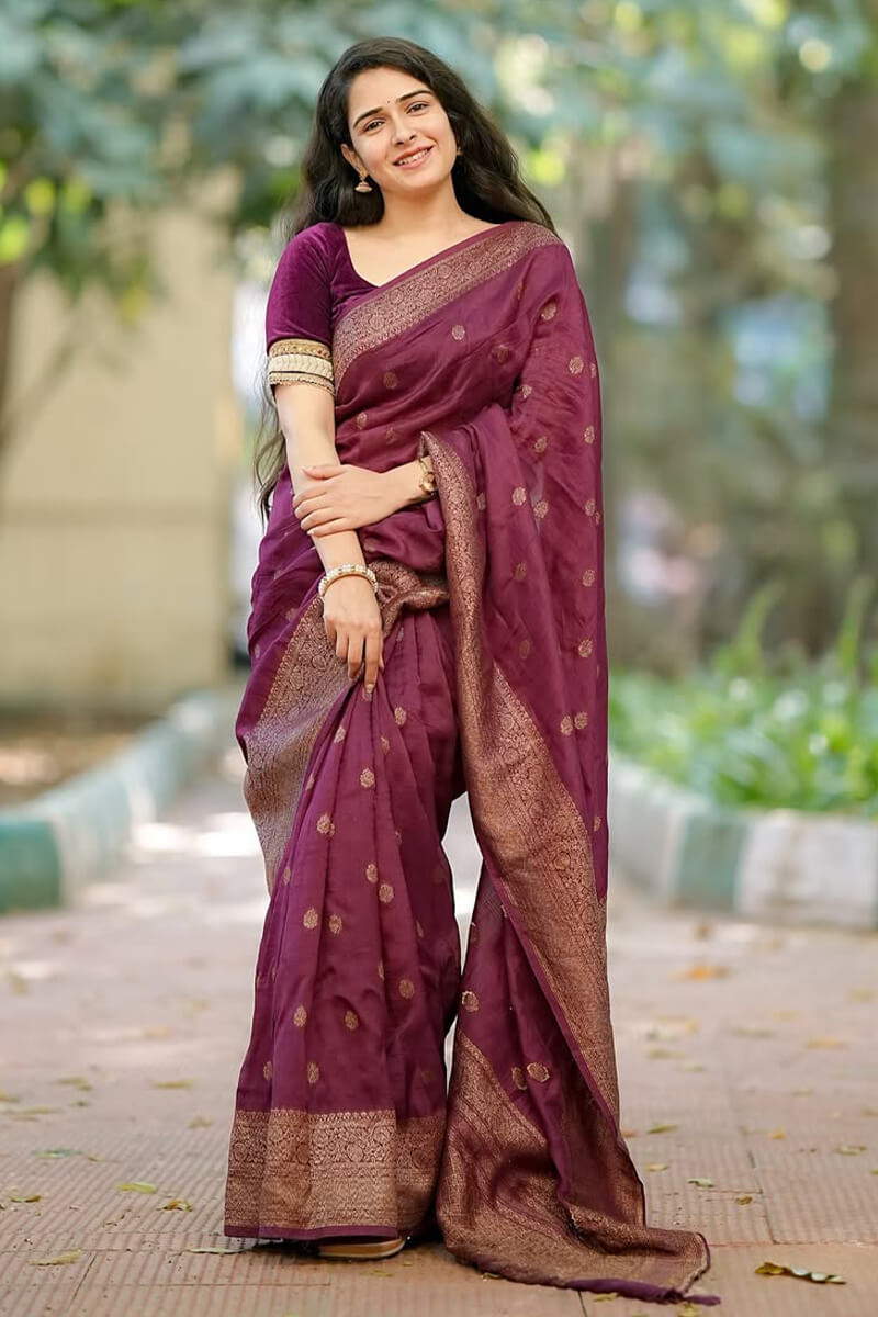 Tempting Wine Soft Silk Saree With Capricious Blouse Piece