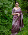 Eloquence Brown Soft Silk Saree with Epiphany Blouse Piece