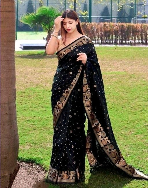 Aplomb Black Soft Banarasi Silk Saree With Mesmerising Blouse Piece