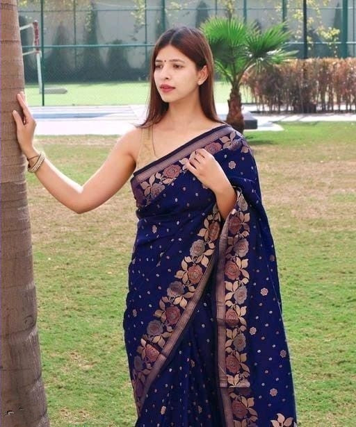 Denouement Navy Blue Soft Banarasi Silk Saree With Super Effulgent Blouse Piece