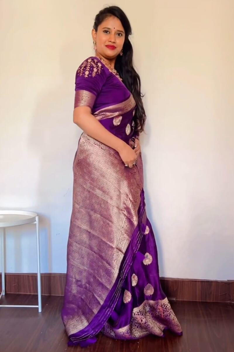 Panoply Purple Soft Silk Saree With Tempting Blouse Piece