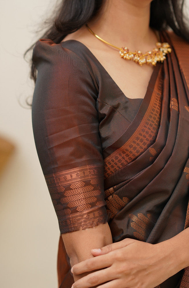 Comely Brown Soft Silk Saree With Enticing Blouse Piece