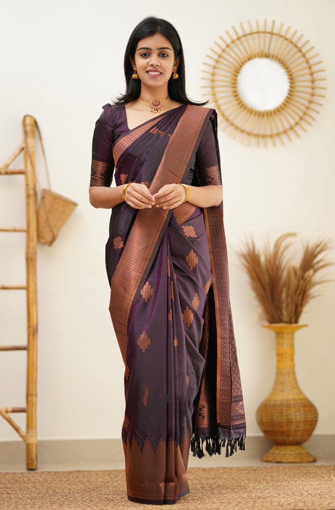 Bewitching Purple Soft Silk Saree With Excellent Blouse Piece