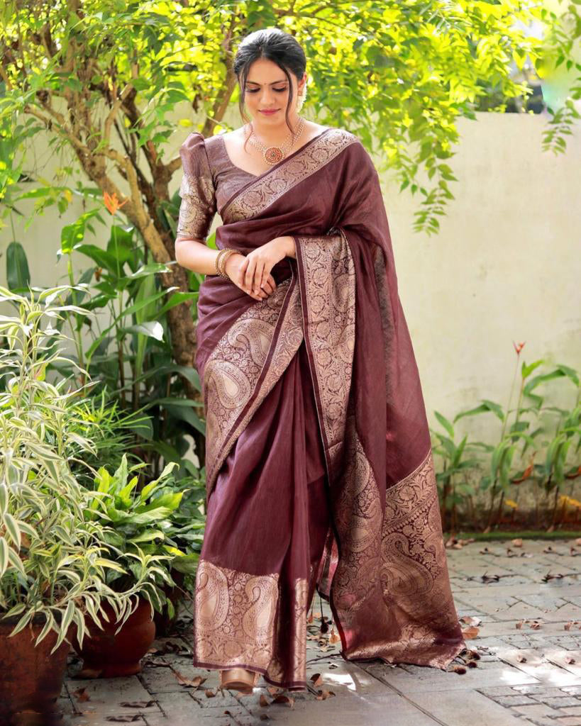 Energetic Brown Soft Silk Saree With Sonorous Blouse Piece