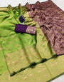 Elaborate Green Soft Silk Saree With Epiphany Blouse Piece